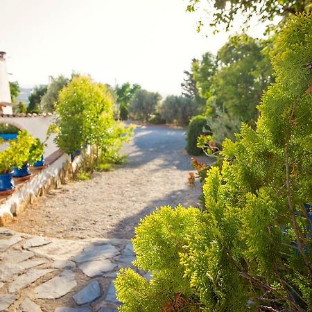 Cuevas De Rolando Guest House Guadix Ngoại thất bức ảnh