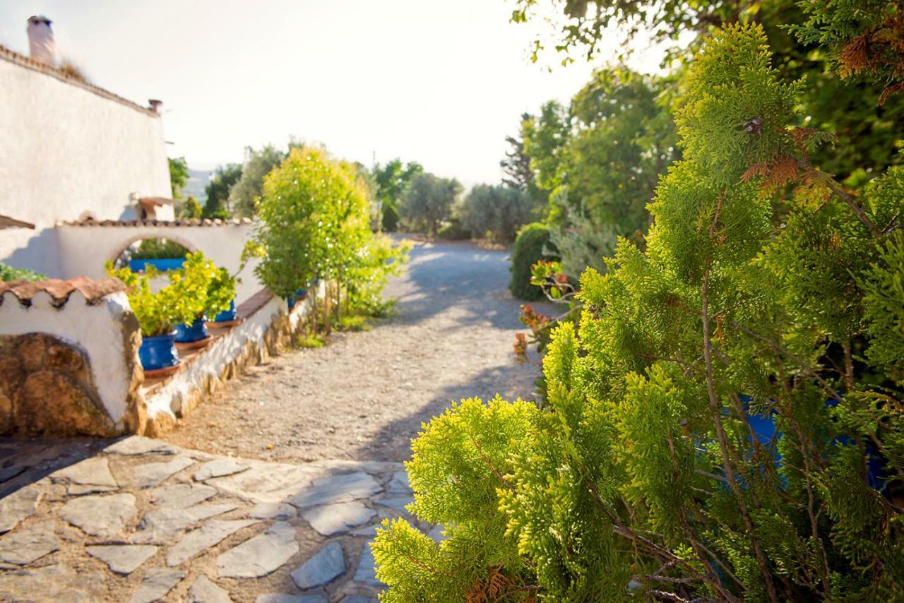 Cuevas De Rolando Guest House Guadix Ngoại thất bức ảnh